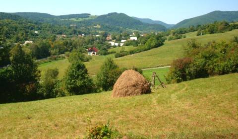 Prodej Zemědělské a lesní, Zemědělské a lesní, Považská Bystrica, Slov