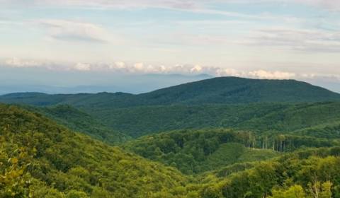 Prodej Zemědělské a lesní, Zemědělské a lesní, Trebišov, Slovensko