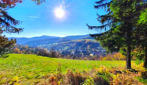 Prodej Zemědělské a lesní, Zemědělské a lesní, Žiar nad Hronom, Sloven