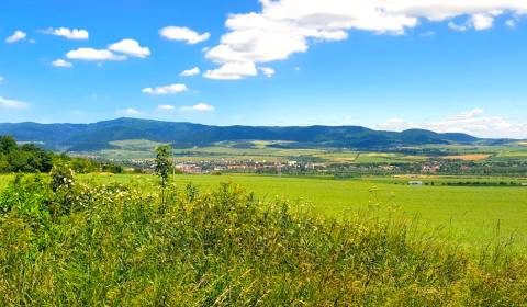 Prodej Zemědělské a lesní, Zemědělské a lesní, Sabinov, Slovensko