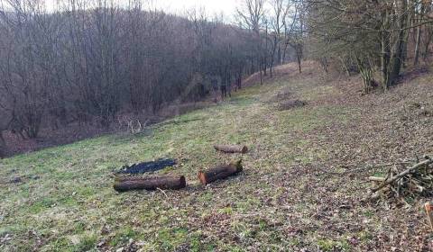 Prodej Zahrady, Zahrady, Púchov, Slovensko