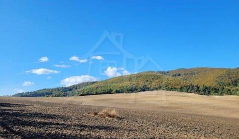 Prodej Zemědělské a lesní, Zemědělské a lesní, Púchov, Slovensko