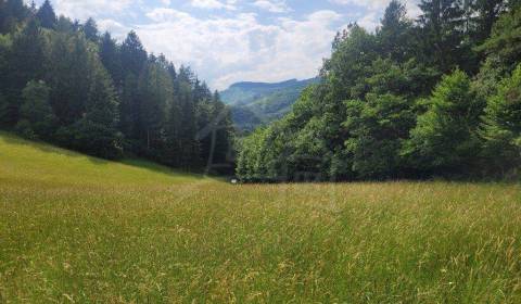 Prodej Zemědělské a lesní, Zemědělské a lesní, Púchov, Slovensko