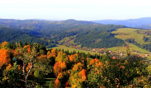 Prodej Zemědělské a lesní, Zemědělské a lesní, Čadca, Slovensko