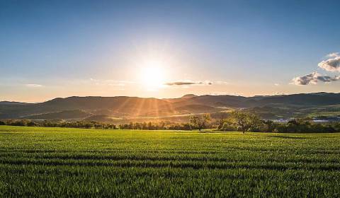 Prodej Zemědělské a lesní, Zemědělské a lesní, Krupina, Slovensko