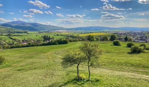 Prodej Zemědělské a lesní, Zemědělské a lesní, Trenčín, Slovensko