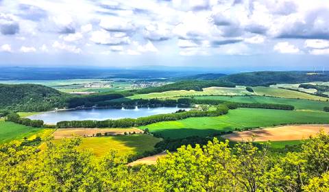 Prodej Zemědělské a lesní, Zemědělské a lesní, Trnava, Slovensko