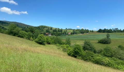 Prodej Pozemky - bydlení, Pozemky - bydlení, Detva, Slovensko