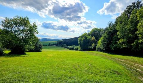 Prodej Zemědělské a lesní, Zemědělské a lesní, Piešťany, Slovensko