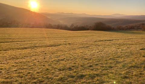 Prodej Pozemky - rekreace, Pozemky - rekreace, Rovná, Zlaté Moravce, S