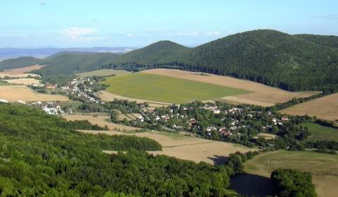 Prodej Zemědělské a lesní, Zemědělské a lesní, Myjava, Slovensko