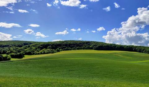 Prodej Zemědělské a lesní, Zemědělské a lesní, Myjava, Slovensko