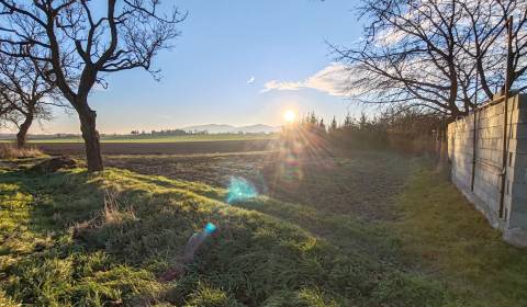 Prodej Pozemky - bydlení, Pozemky - bydlení, Čemerné, Vranov nad Topľo