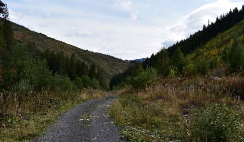 Prodej Zemědělské a lesní, Zemědělské a lesní, Prievidza, Slovensko