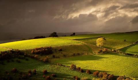 Prodej Zemědělské a lesní, Zemědělské a lesní, Michalovce, Slovensko