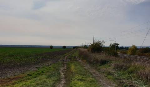 Prodej Zemědělské a lesní, Zemědělské a lesní, Pezinok, Slovensko