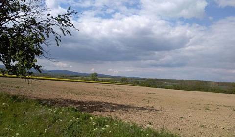 Hledáme Pozemky - bydlení, Pozemky - bydlení, Pezinok, Slovensko