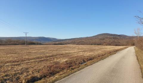 Prodej Zemědělské a lesní, Zemědělské a lesní, Malacká cesta, Pezinok,