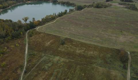 Prodej Zemědělské a lesní, Zemědělské a lesní, Hviezdoslavova, Senec, 