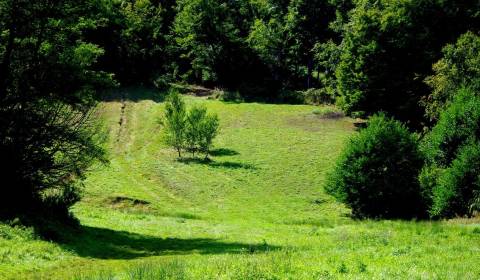 Prodej Pozemky - rekreace, Pozemky - rekreace, Banská Bystrica, Sloven