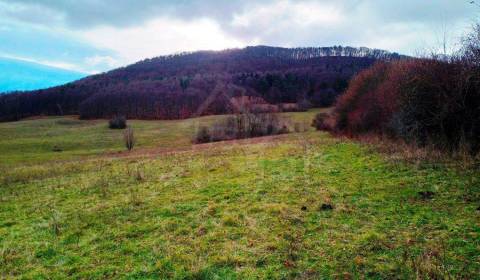 Prodej Zemědělské a lesní, Zemědělské a lesní, Nové Mesto nad Váhom, S