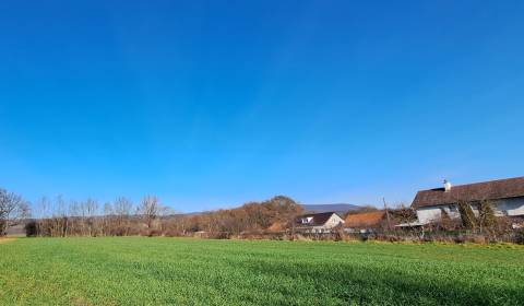 Prodej Pozemky - bydlení, Pozemky - bydlení, Gondovo, Levice, Slovensk