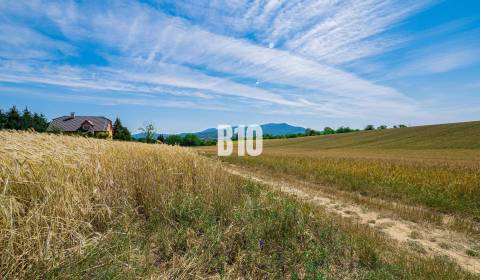 Prodej Pozemky - bydlení, Pozemky - bydlení, Nitra, Slovensko