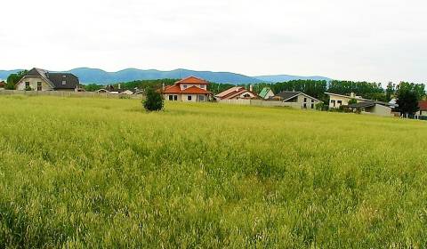 Prodej Pozemky - bydlení, Pozemky - bydlení, Centrum, Trnava, Slovensk