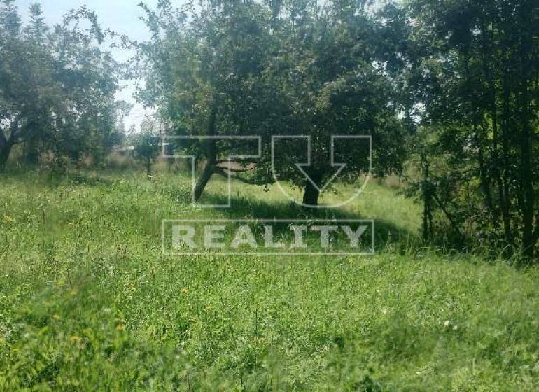 Stará Turá Pozemky - rekreace prodej reality Nové Mesto nad Váhom