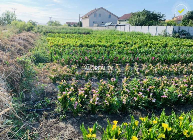 Tureň Pozemky - bydlení prodej reality Senec