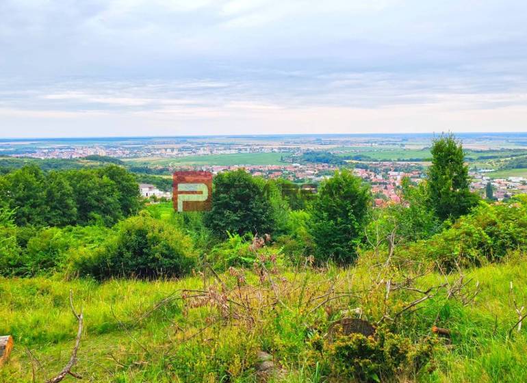 Limbach Pozemky - bydlení prodej reality Pezinok