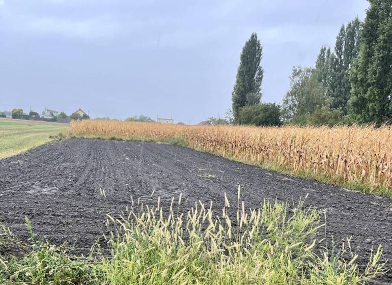 Holice Pozemky - bydlení prodej reality Dunajská Streda