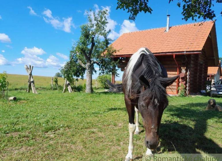 Zemiansky Vrbovok Chata prodej reality Krupina