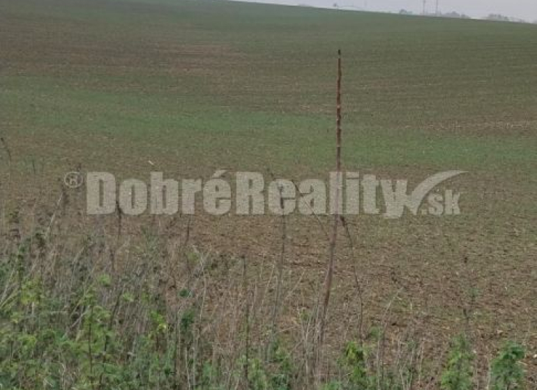 Nitra Zemědělské a lesní prodej reality Nitra