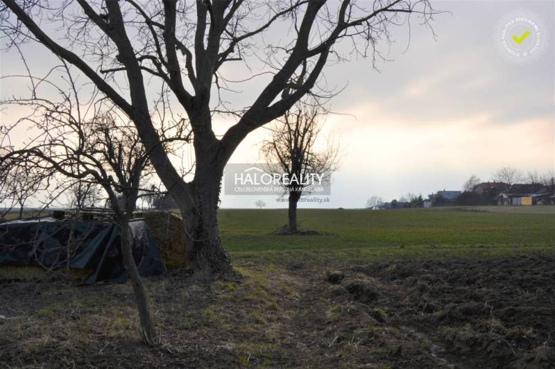 Radošina Rodinný dům prodej reality Topoľčany