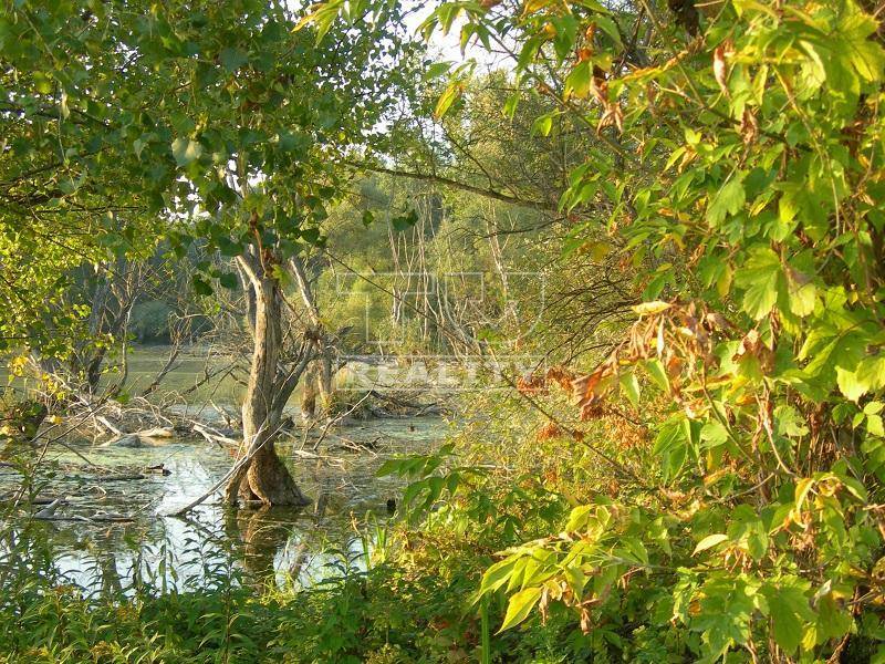 Gabčíkovo Pozemky - rekreace prodej reality Dunajská Streda