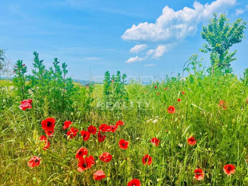 Moravany nad Váhom Pozemky - bydlení prodej reality Piešťany