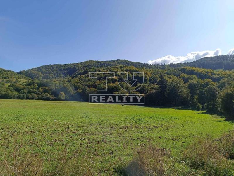 Udiča Pozemky - rekreace prodej reality Považská Bystrica