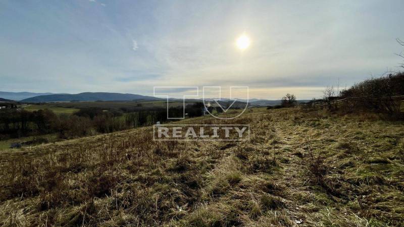 Stará Turá Pozemky - bydlení prodej reality Nové Mesto nad Váhom