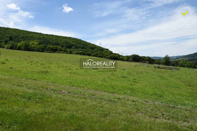 Hrabičov Pozemky - rekreace prodej reality Žarnovica