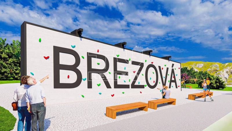 Brezová pod Bradlom Pozemky - rekreace prodej reality Myjava