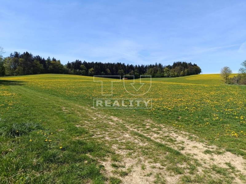 Sverepec Pozemky - bydlení prodej reality Považská Bystrica