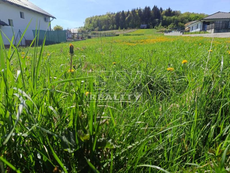 Sverepec Pozemky - bydlení prodej reality Považská Bystrica