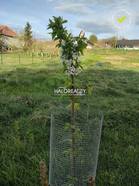 Čermany Pozemky - bydlení prodej reality Topoľčany