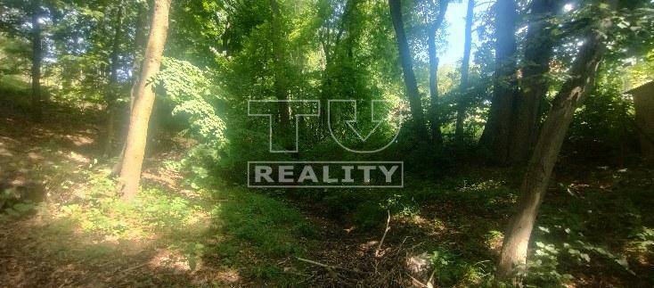 Stará Turá Pozemky - rekreace prodej reality Nové Mesto nad Váhom