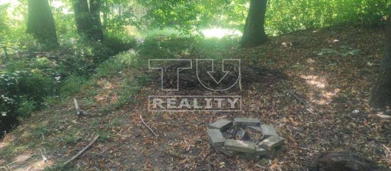 Stará Turá Pozemky - rekreace prodej reality Nové Mesto nad Váhom