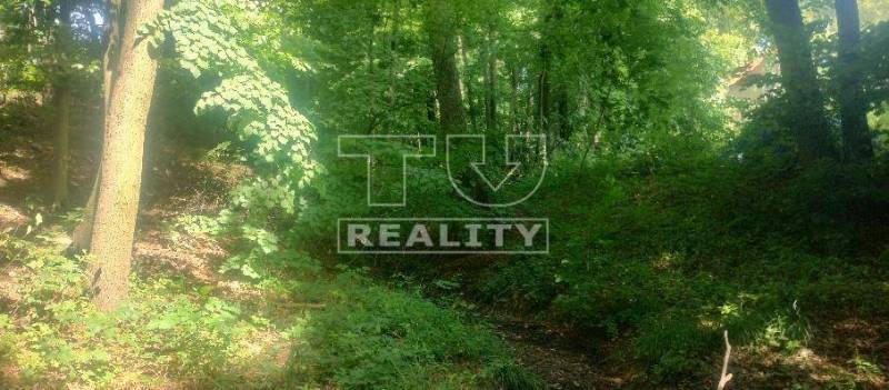 Stará Turá Pozemky - rekreace prodej reality Nové Mesto nad Váhom