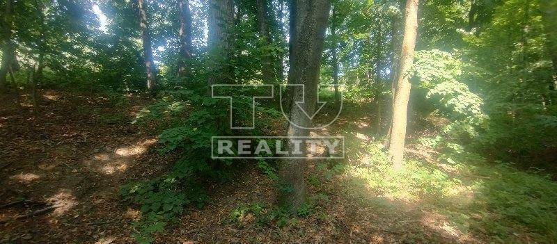 Stará Turá Pozemky - rekreace prodej reality Nové Mesto nad Váhom