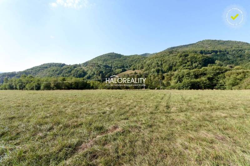 Ostrý Grúň Pozemky - rekreace prodej reality Žarnovica