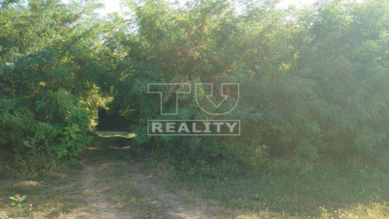 Štvrtok Pozemky - rekreace prodej reality Trenčín